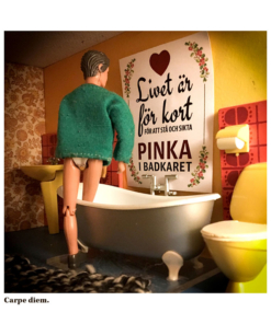 Kvadrat - Carpe diem